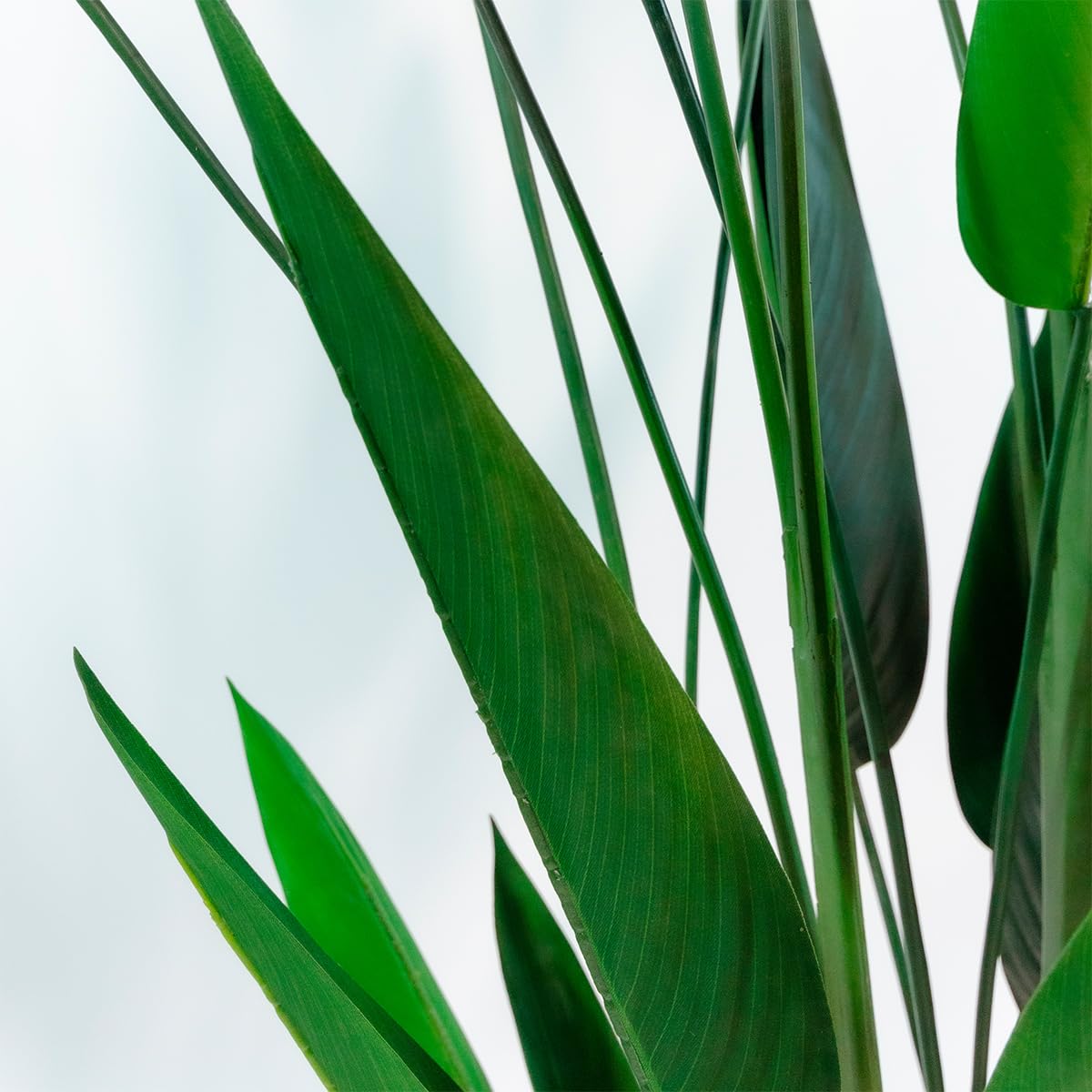 BLAINE | Heliconia 125cm | Plantas Artificiales Decorativas | Planta Artificial Grande | Plantas Artificiales para Interior/Exterior | Planta Artificial Realista Decorativa para Casa | Sin Cuiados