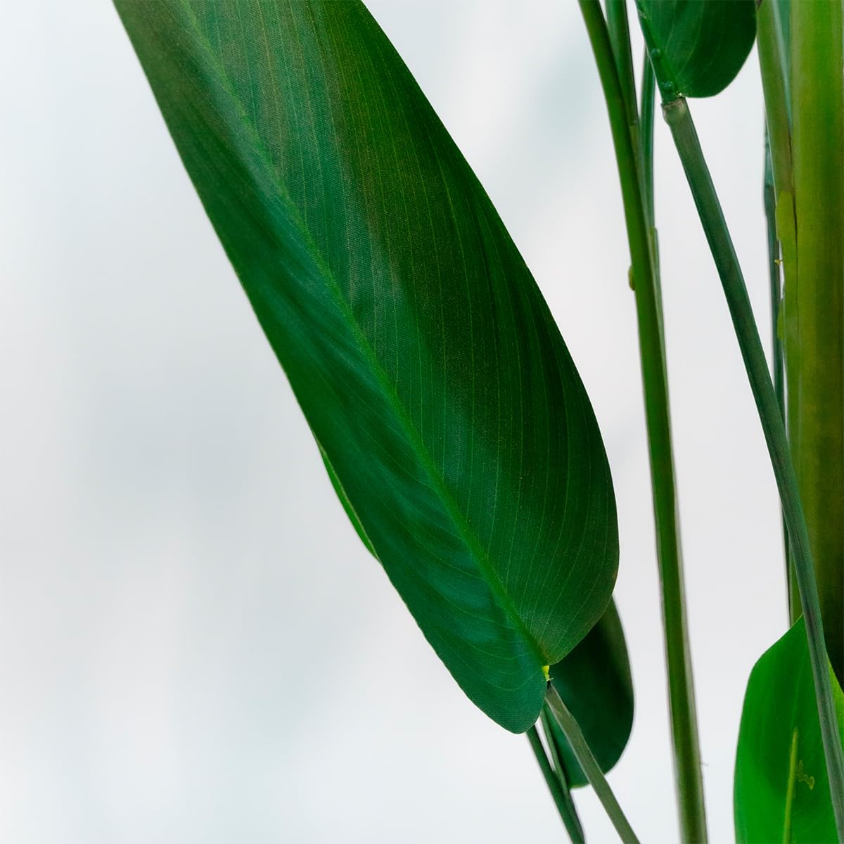 BLAINE | Heliconia 125cm | Plantas Artificiales Decorativas | Planta Artificial Grande | Plantas Artificiales para Interior/Exterior | Planta Artificial Realista Decorativa para Casa | Sin Cuiados