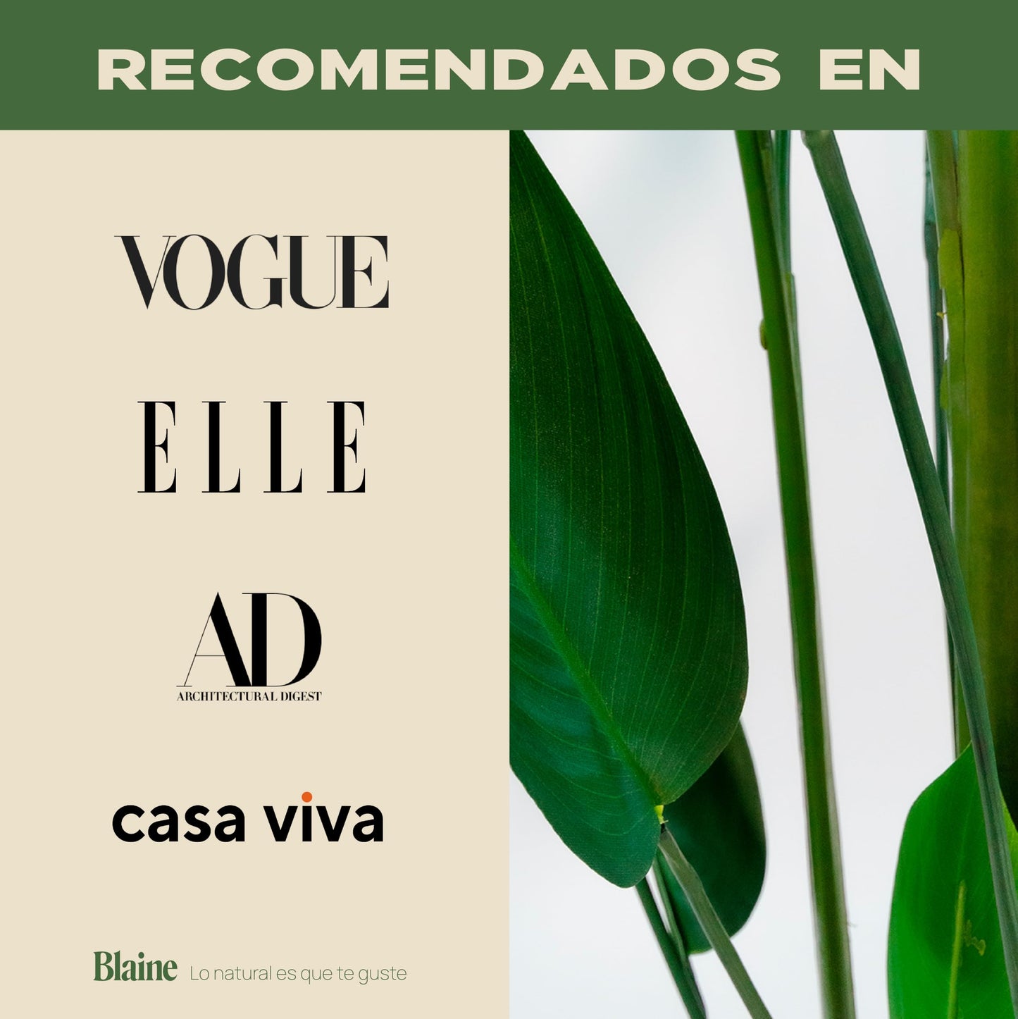 BLAINE | Heliconia 125cm | Plantas Artificiales Decorativas | Planta Artificial Grande | Plantas Artificiales para Interior/Exterior | Planta Artificial Realista Decorativa para Casa | Sin Cuiados