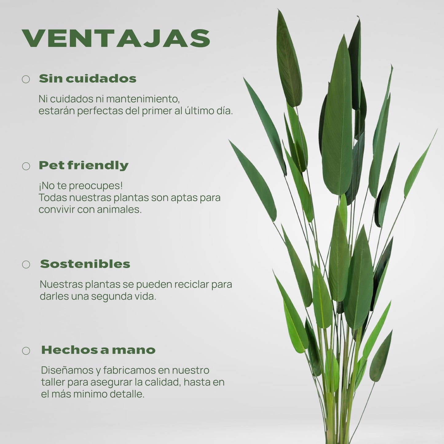 BLAINE | Heliconia 125cm | Plantas Artificiales Decorativas | Planta Artificial Grande | Plantas Artificiales para Interior/Exterior | Planta Artificial Realista Decorativa para Casa | Sin Cuiados